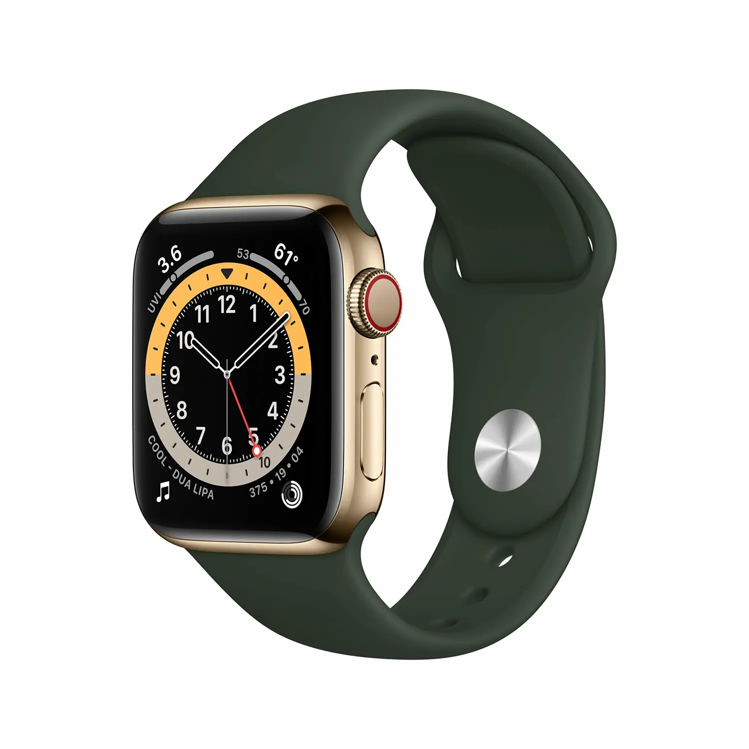 New Apple Watch Series 6 (GPS + Cellular, 40mm) - Gold Stainless Steel Case with Cyprus Green Sport Band