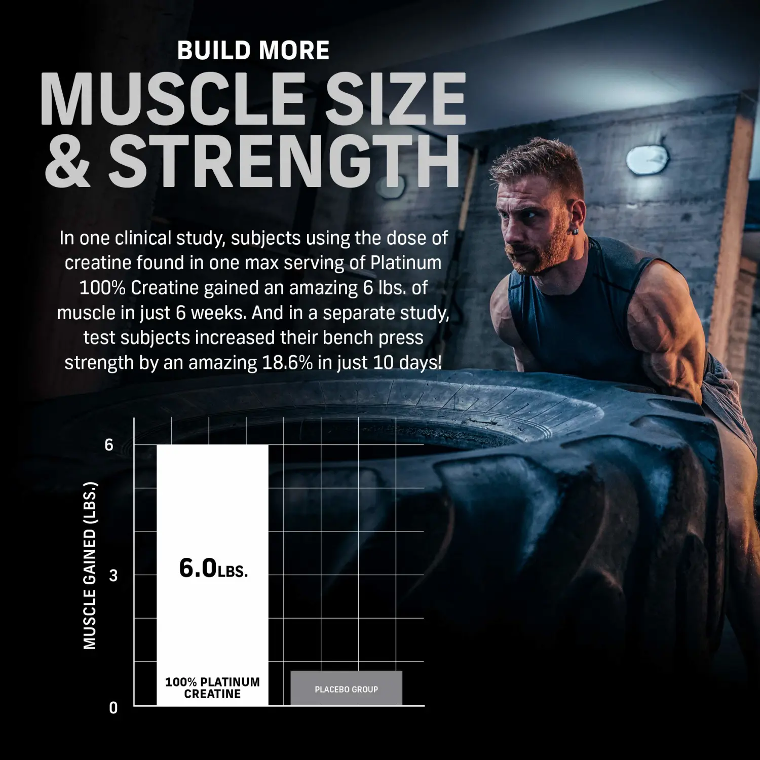 Creatine Monohydrate Powder MuscleTech Platinum Pure Micronized Muscle Recovery + Builder for Men & Women Workout Supplements Unflavored (80 Servings)