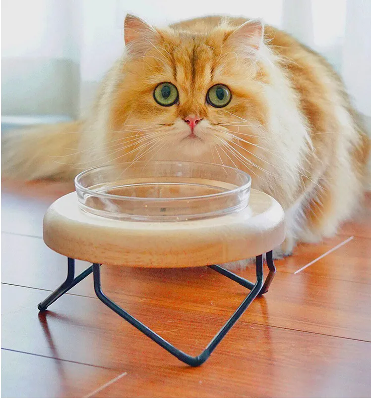 Solid Wood Cat Bowl Rack