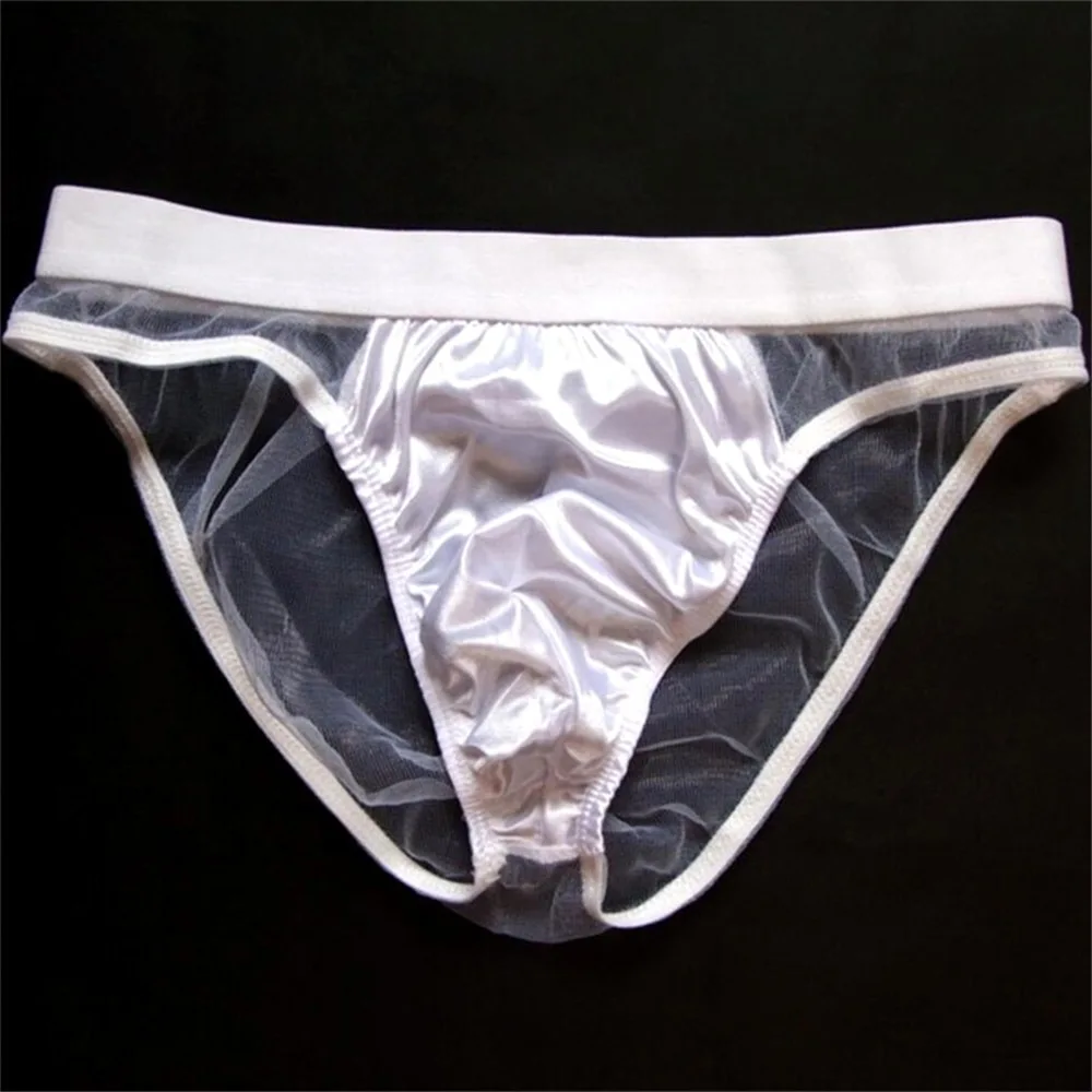 Men's Sexy Briefs Transparent Mesh