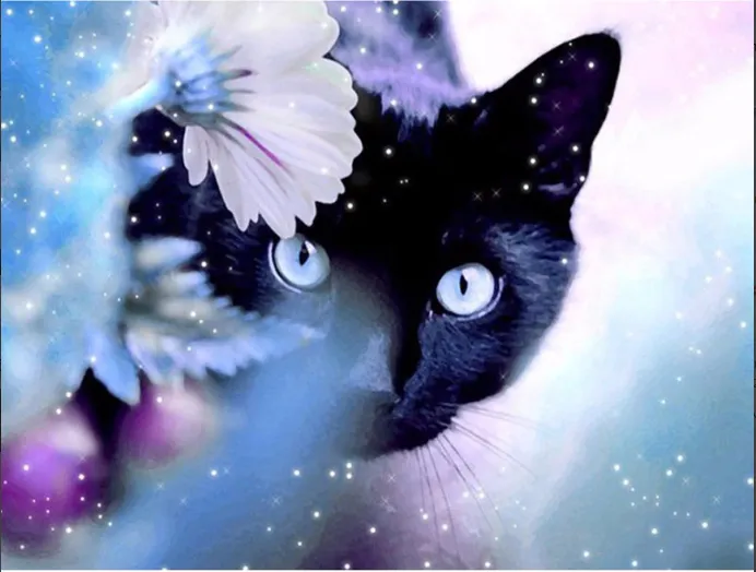 5D Diamond Painting - Schwarze Katzenmalerei