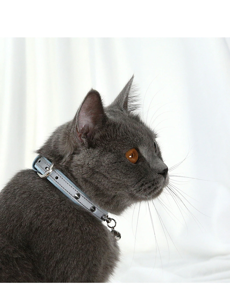 Anti bite dog collar