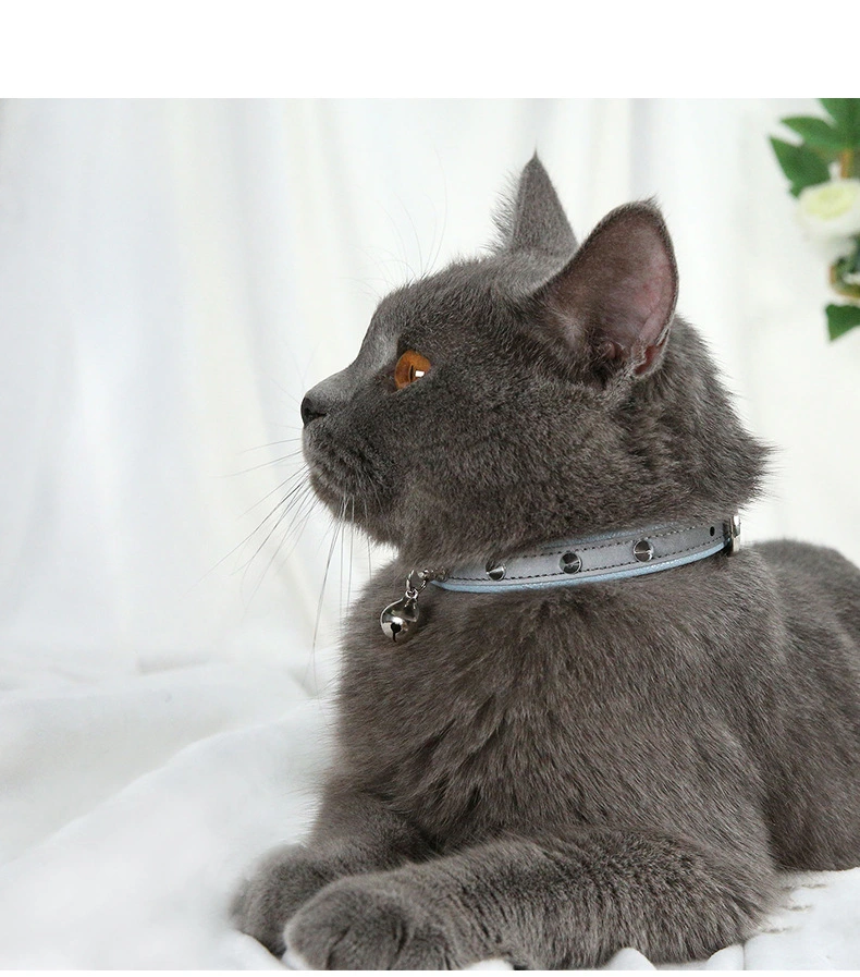 Anti bite dog collar