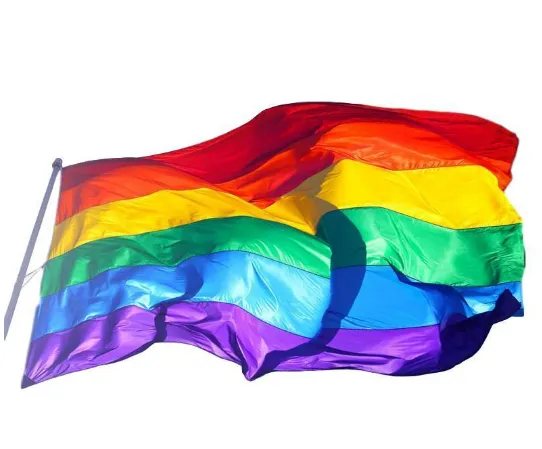 Pride LGBT Flag 90x150cm