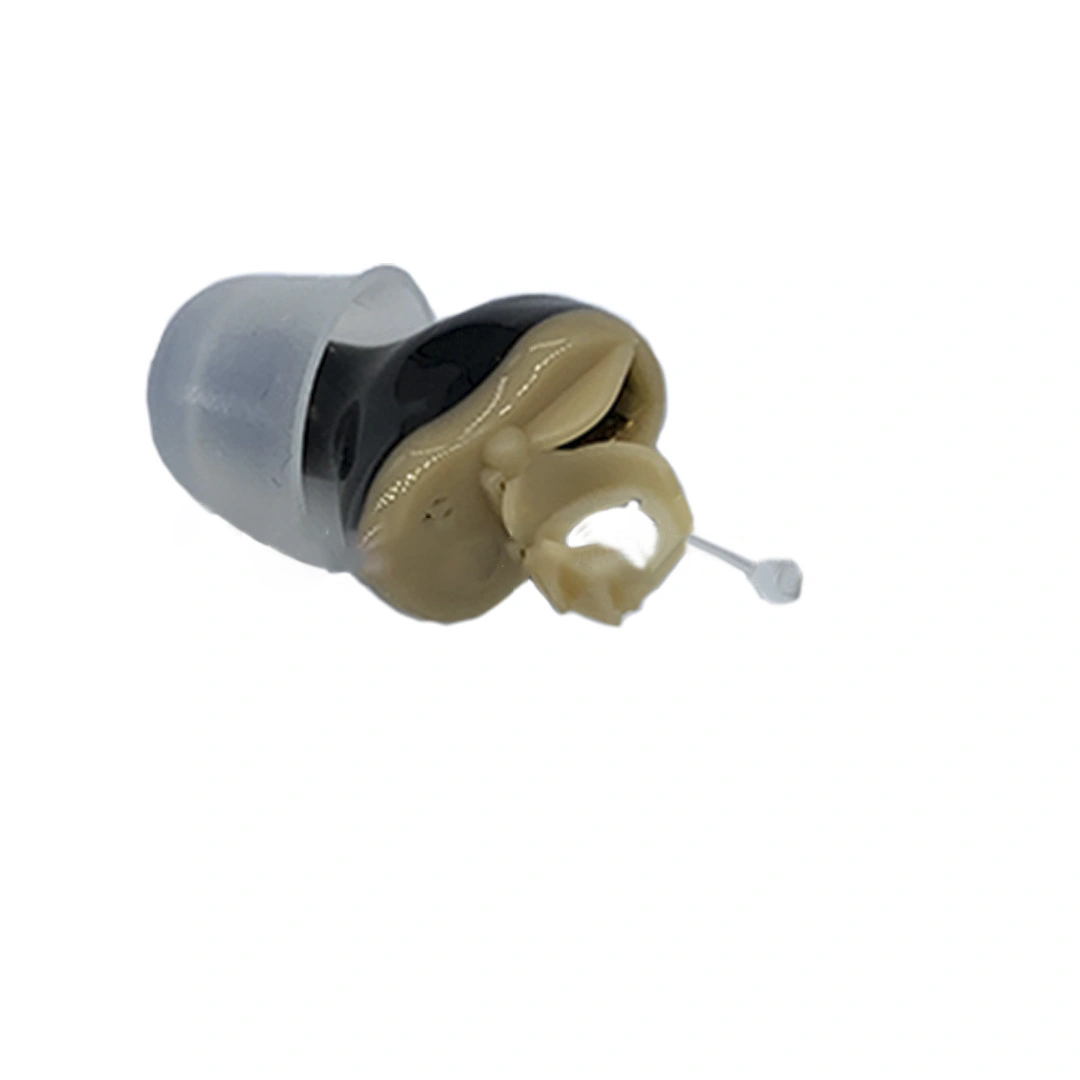 Hearing Aid