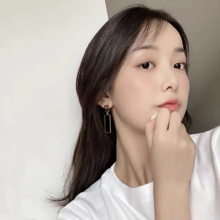 South Korea Dongdaemun Rectangle Phnom Penh Cold Wind Light Luxury Niche Earrings