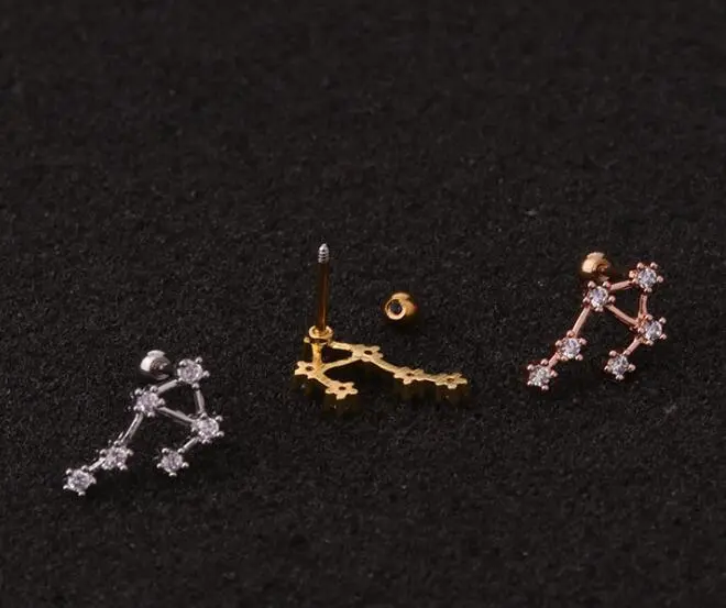 Twelve Constellation Stainless Steel Stud Earrings