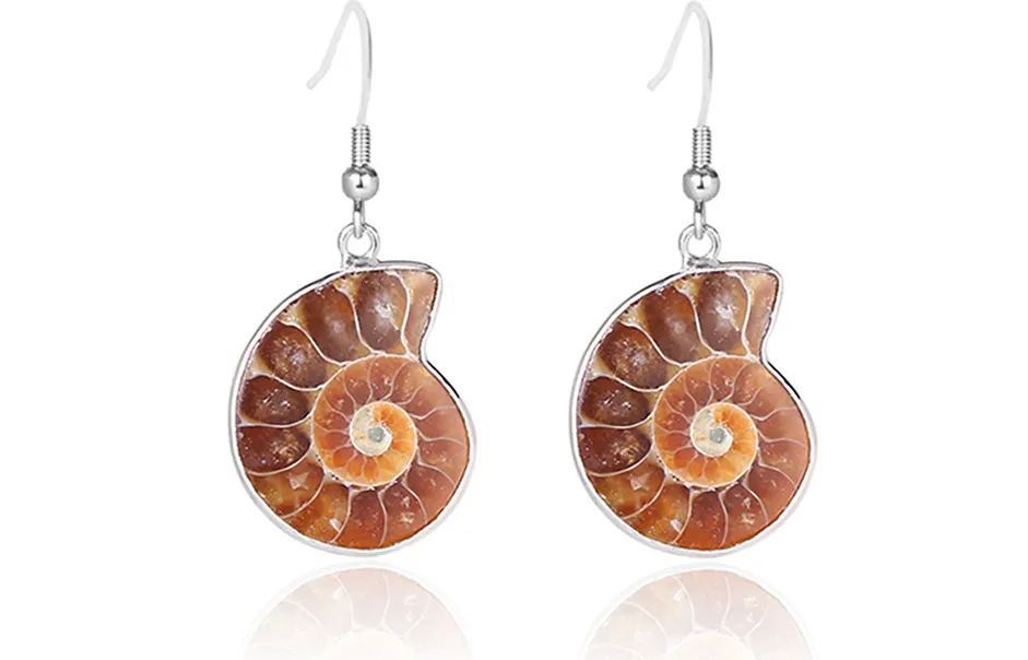 Natural Snail Ammonite Spiral Shell Fossil Earrings