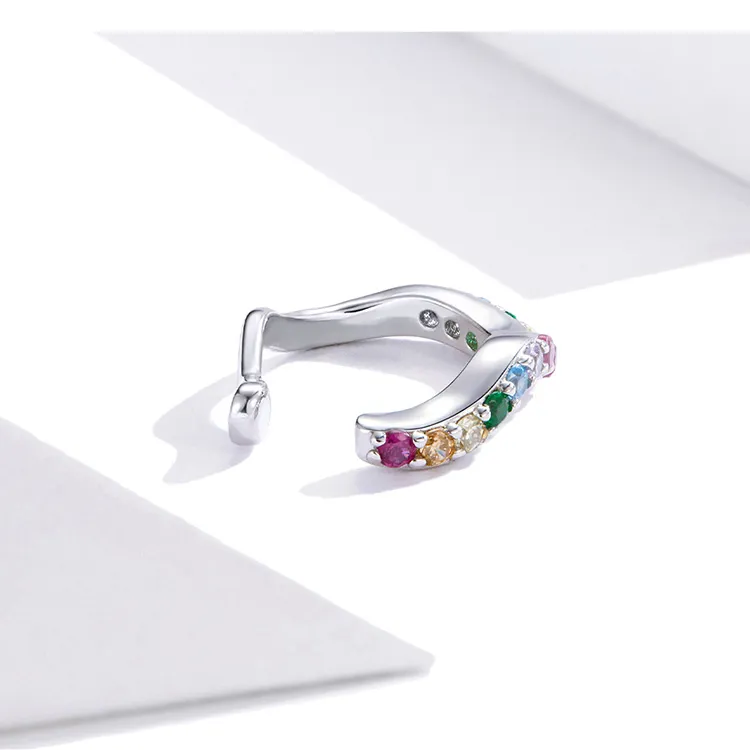 Female silver colored zircon earrings