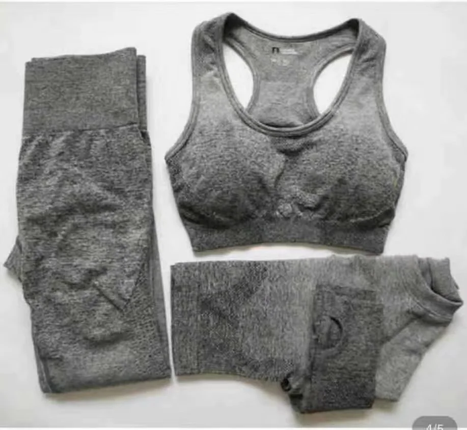 Ombre Crop Top Yoga Shirts for Women Seamless Long Sleeve Workout Tops Gym Shirts with Thumb Hole Fitness Crop Top Camisas Mujer