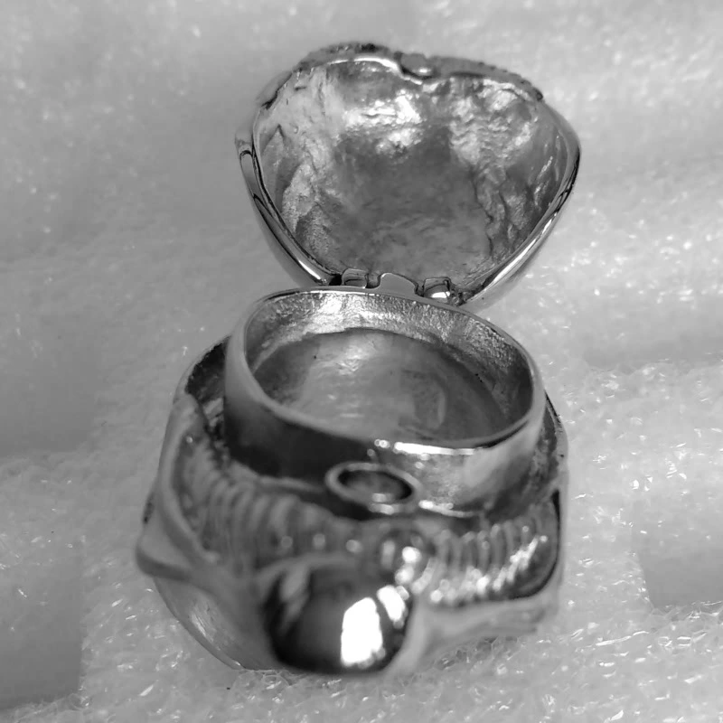 Domineering Men's Titanium Steel Punk Skull Ring