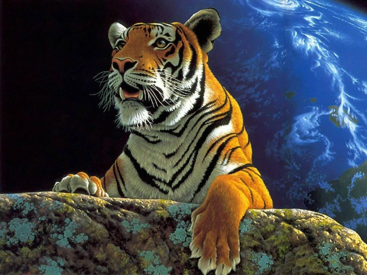 New 5D HOT Diy Diamond Painting Tiger Animal Paradise Earth Mosaic Daimond Cross Painting Diamond Paint Art R455