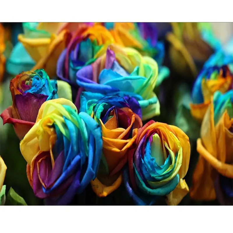 5D Diamond Painting - Bunte Rosen