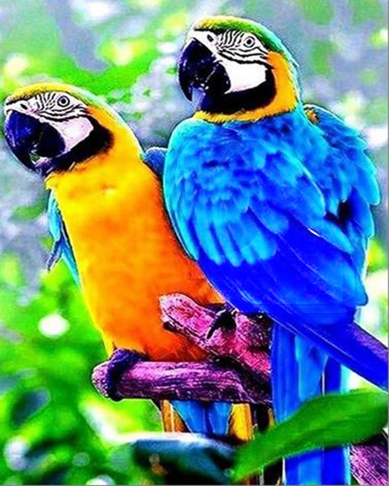 Parrot 5D Diamond Painting Living Room TV Cabinet Decoration Painting