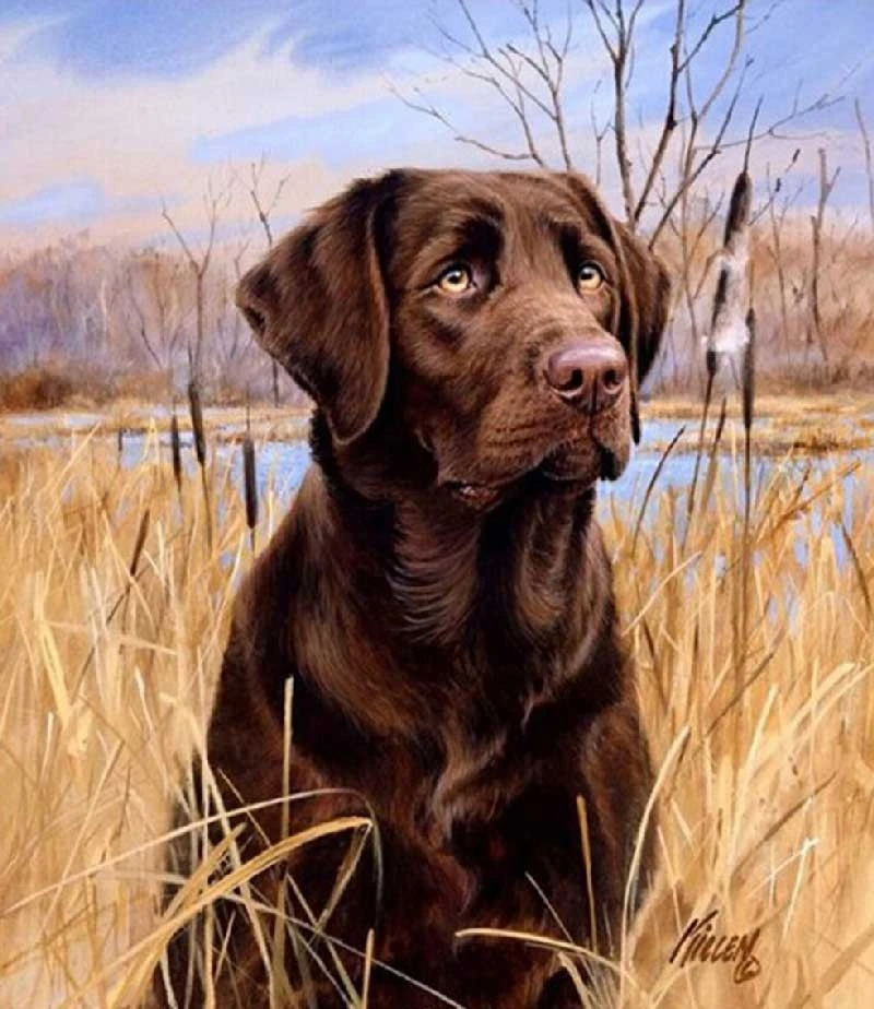 5D DIY Diamond Painting Dog Crystal Diamond Painting Cross  Lovely Labrador Dog Animal Needlework Home Decorative