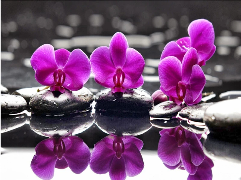 New 5D DIY Purple Orchid Flower Diamond Painting Flower Round Full Diamond Needlework Picture Embroidery Crystal Mosaic