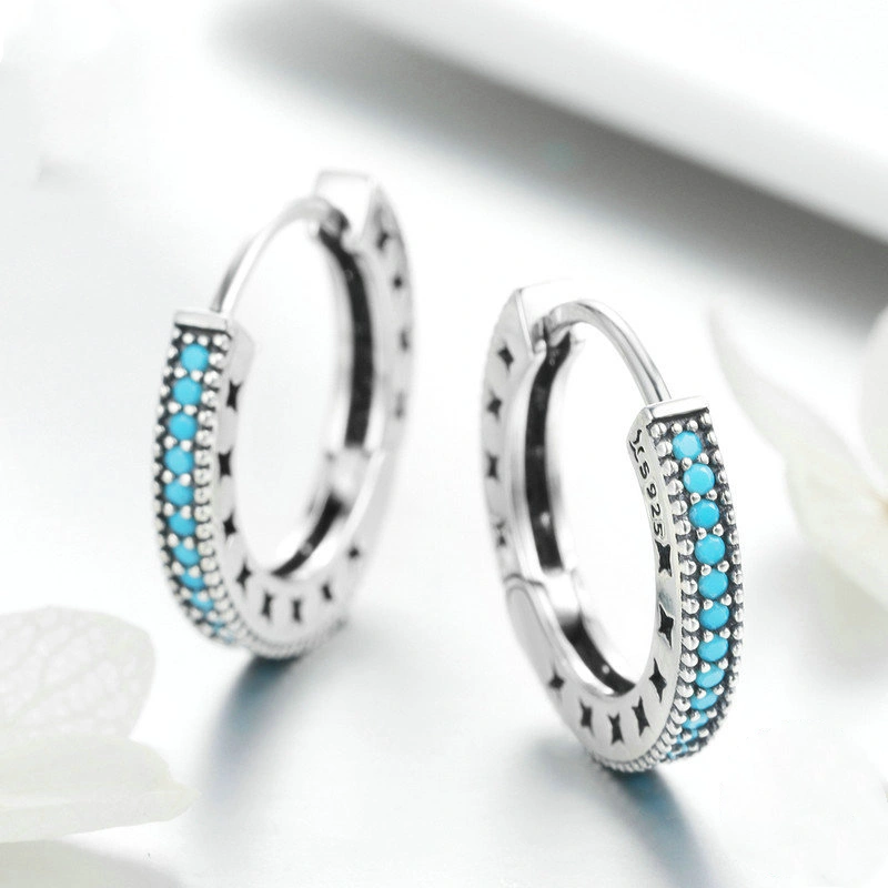 Little sparkle S925 sterling silver earrings
