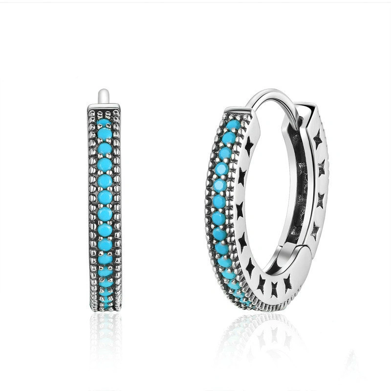 Little sparkle S925 sterling silver earrings