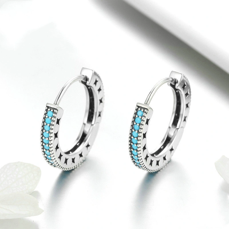 Little sparkle S925 sterling silver earrings
