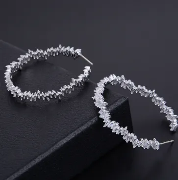 Women's Simple Earrings  Ears Zircons