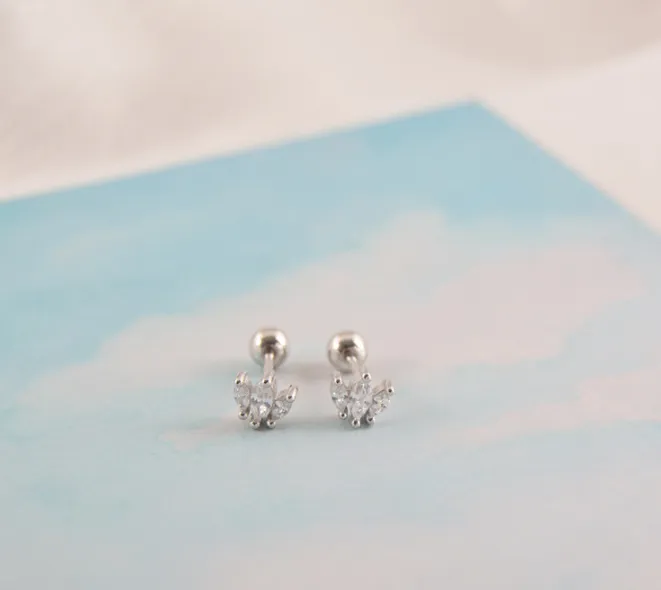 Threaded Crown Zircon Simple Wild Earrings