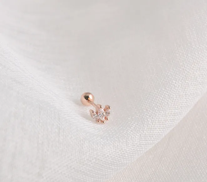 Threaded Crown Zircon Simple Wild Earrings