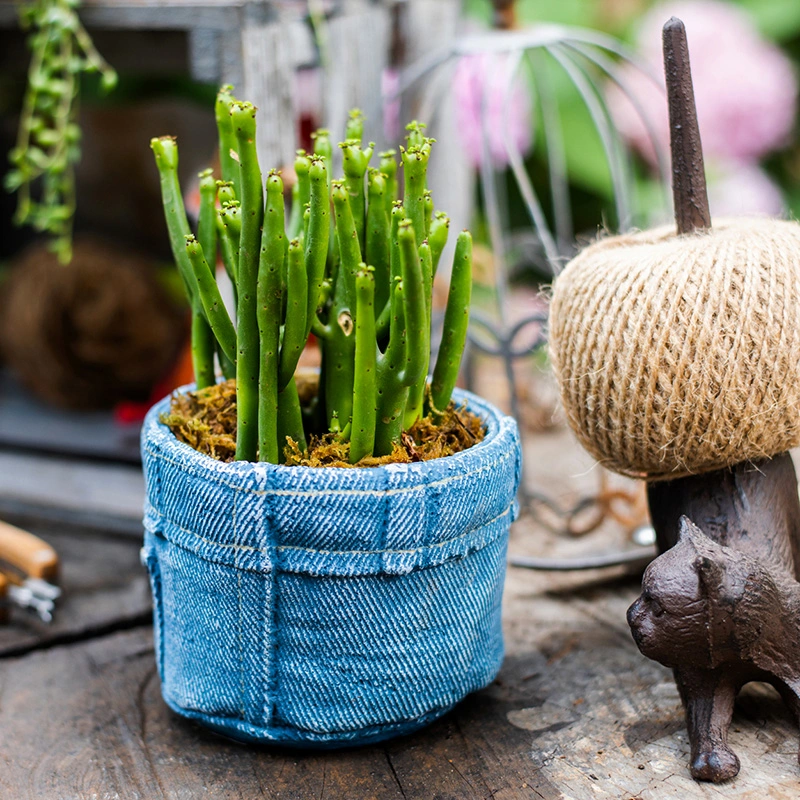 Jeans pocket flower pot small flower pot