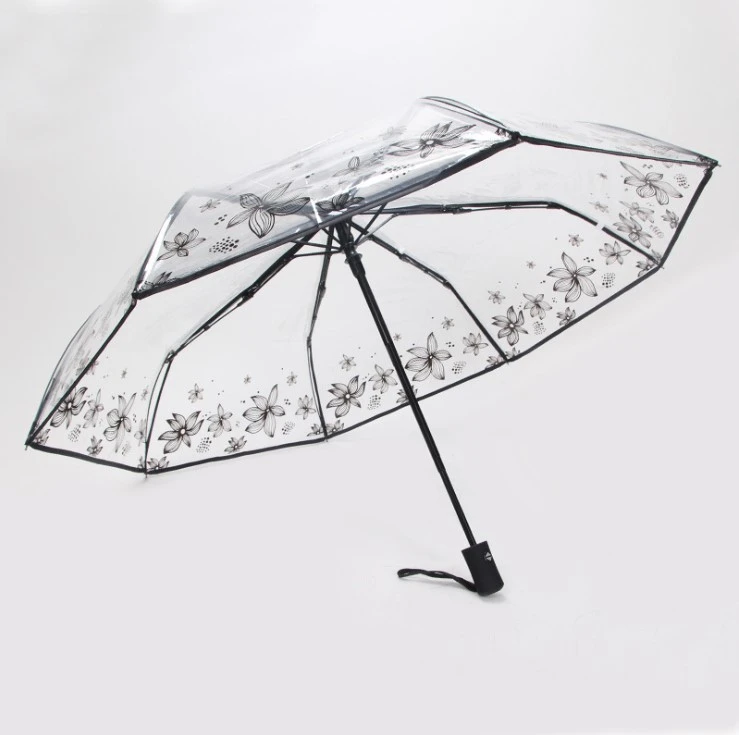 Transparent umbrella female folding umbrella