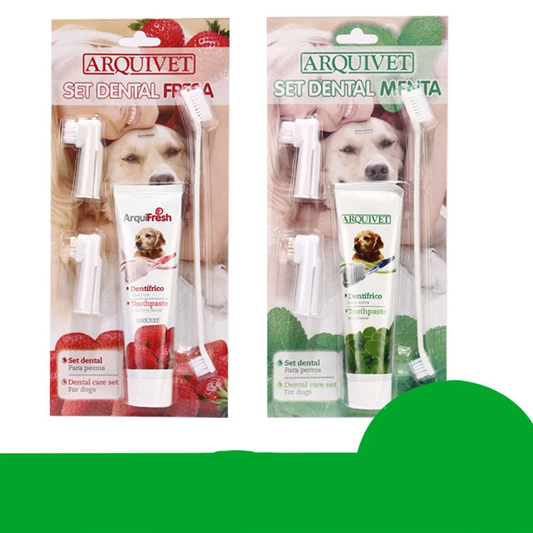 Pet toothpaste toothbrush set