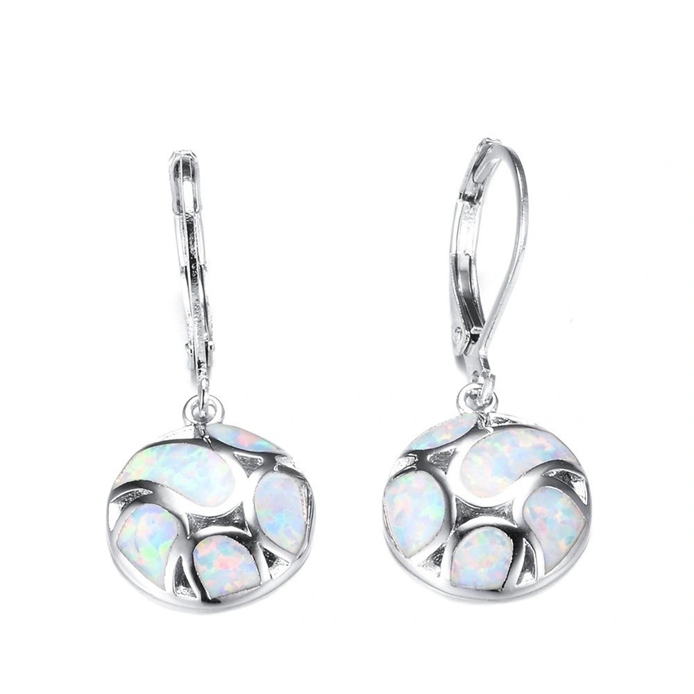 Exquisite earrings High-end gift box