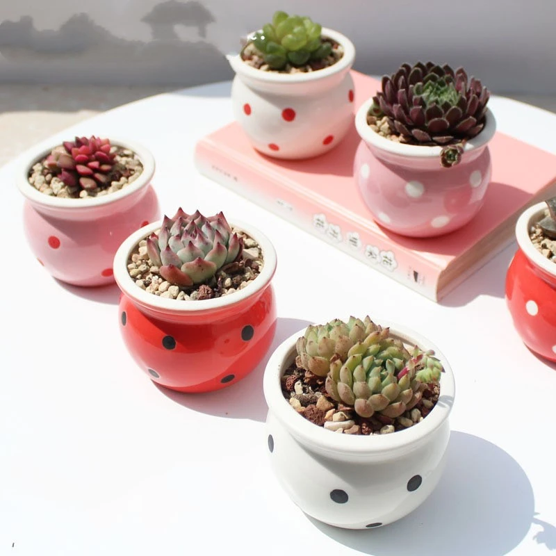 Succulent Flower Pot Ceramic Flower Pot Thumb Pot