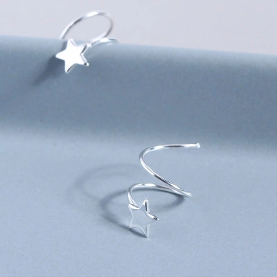 S925 sterling silver earrings for women