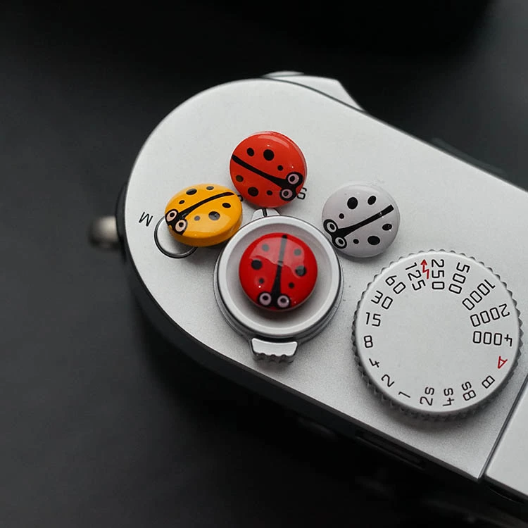 Ladybug shutter button camera shutter button button