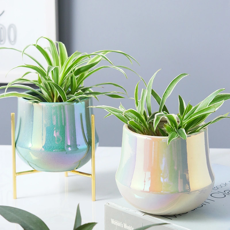 originality Ceramic flowerpot