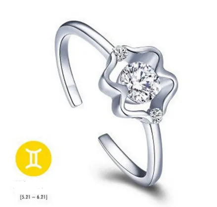 Twelve Constellation Cupronickel Silver Plated Ring