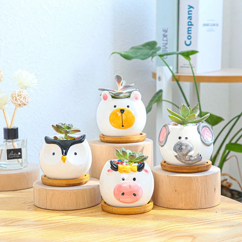 Cartoon animal succulent flower pot