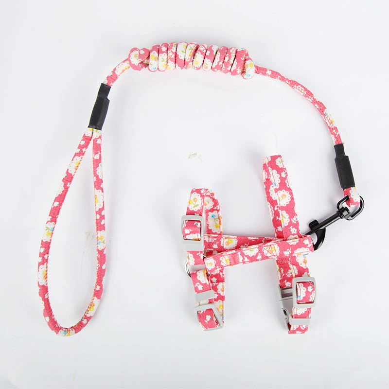 Walking the cat rope pet chest strap