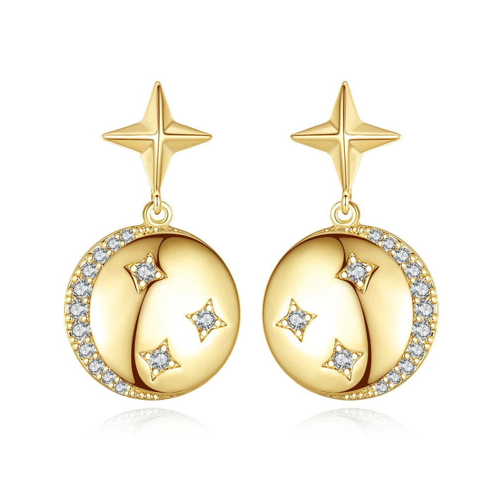 Niche Design Zircon Earrings