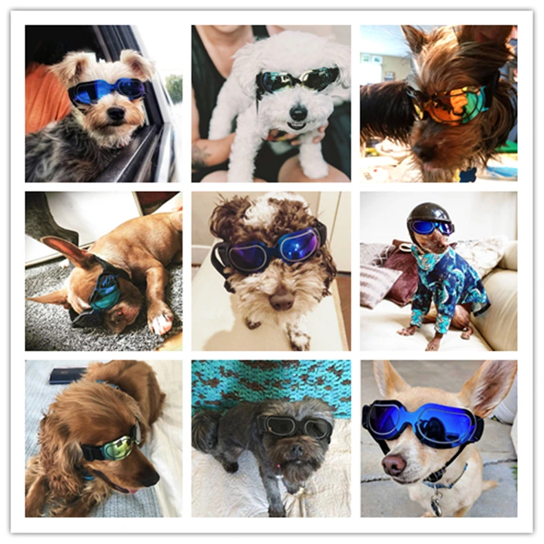 Pet supplies colorful dog glasses sunglasses Zinc cat sunglasses