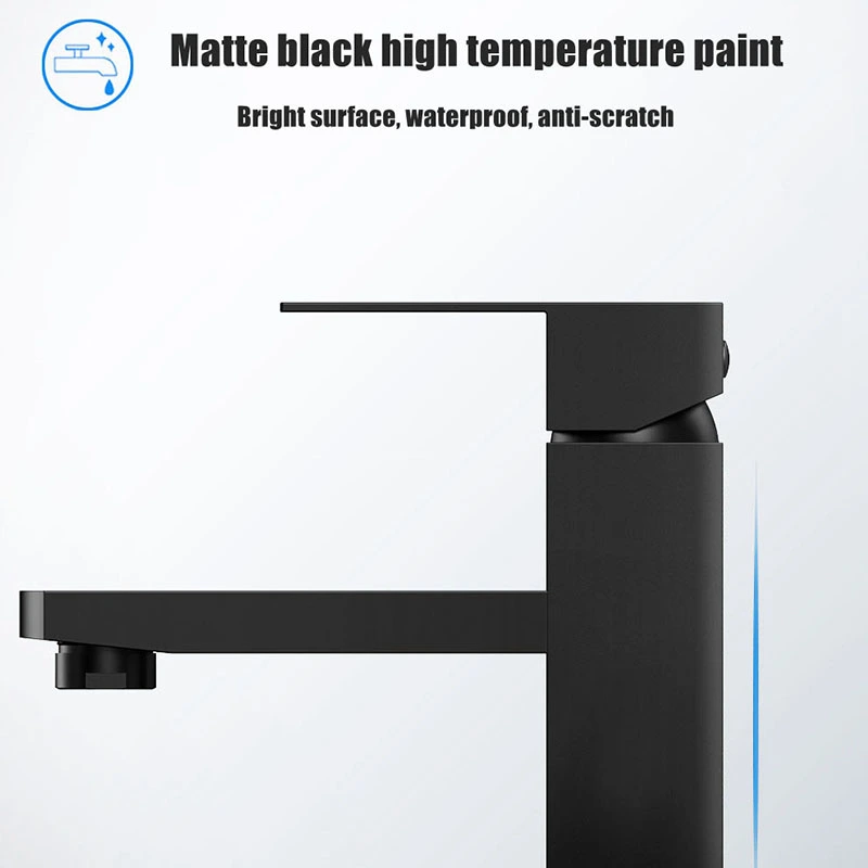 Stainless steel black paint basin faucet