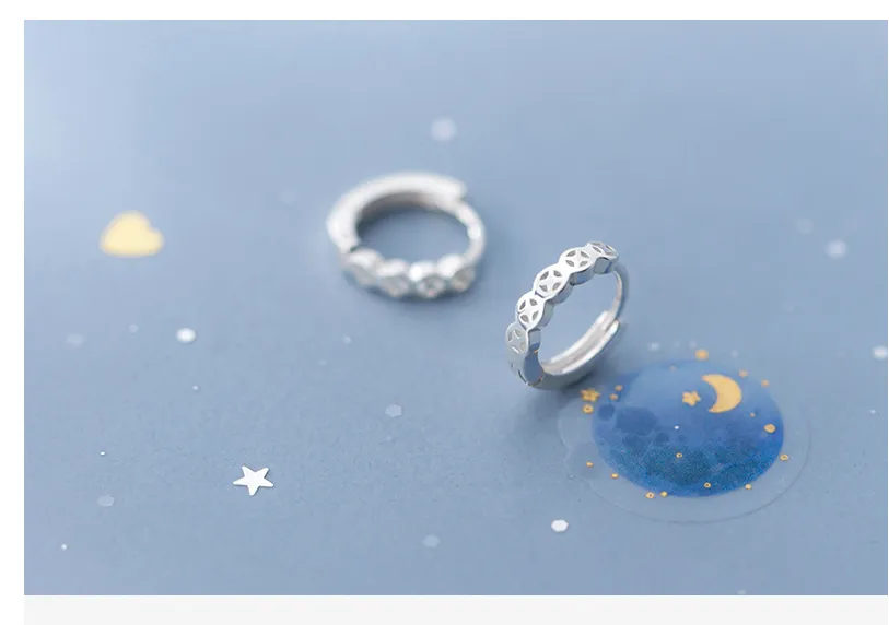 S925 Silver Earrings