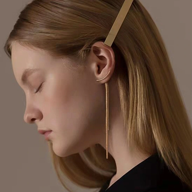 Tassel long earrings