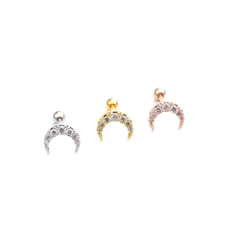 New Moon Stainless Steel Screw Earrings
