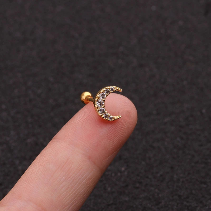 New Moon Stainless Steel Screw Earrings