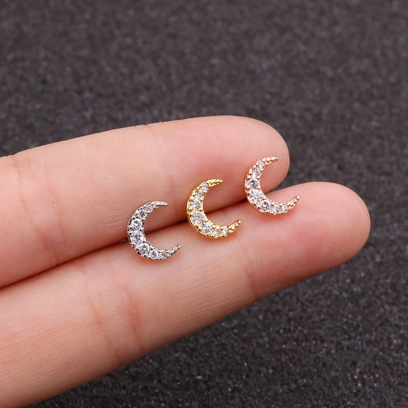 New Moon Stainless Steel Screw Earrings