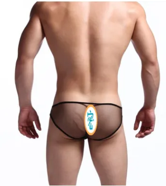 See Though Mesh Low Waist Men Briefs