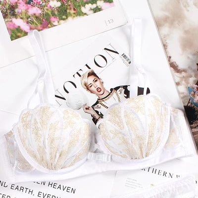 Embroidered shell bra