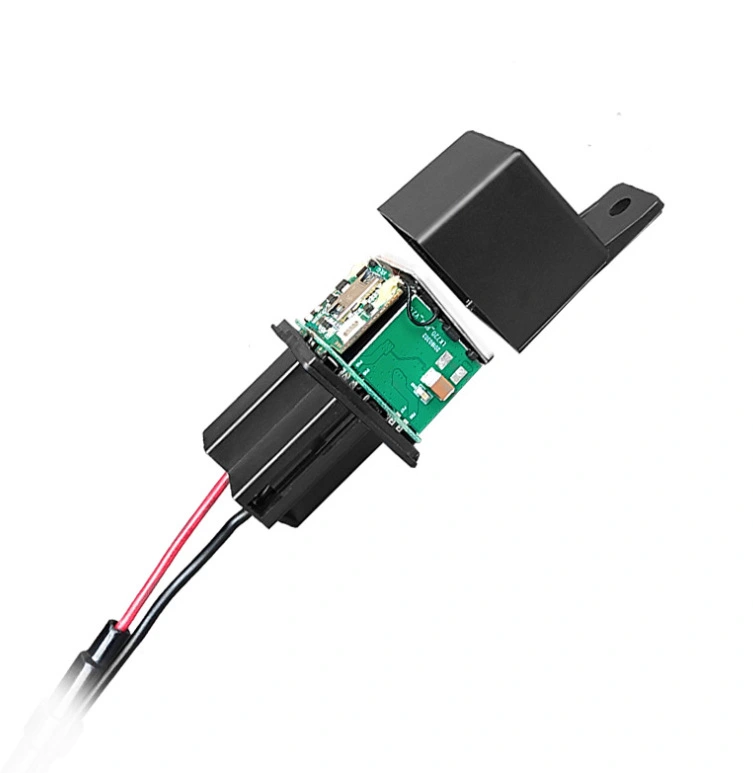 International Version Relay