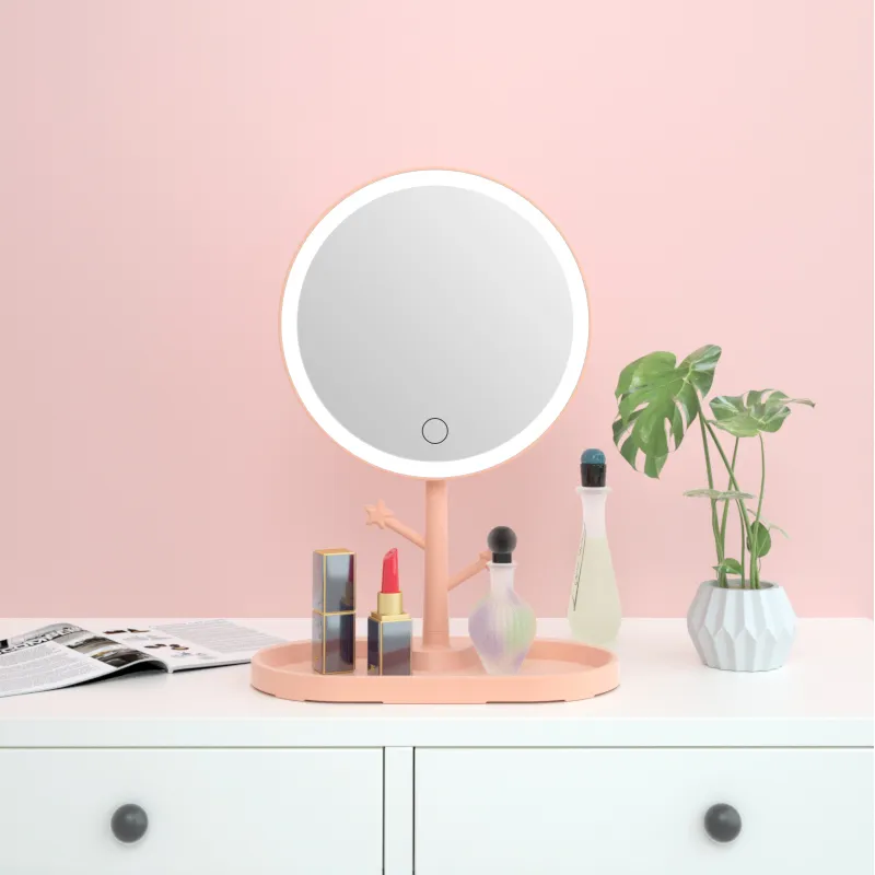 LED makeup mirror with light