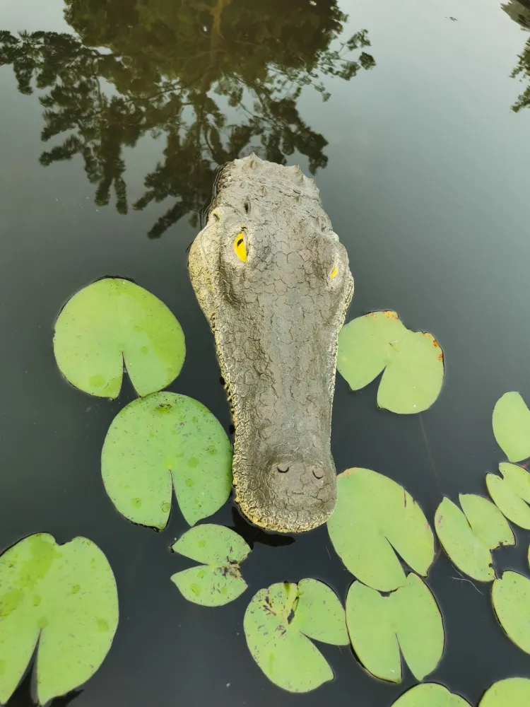 New Garden Pond Floating Animal Ornaments